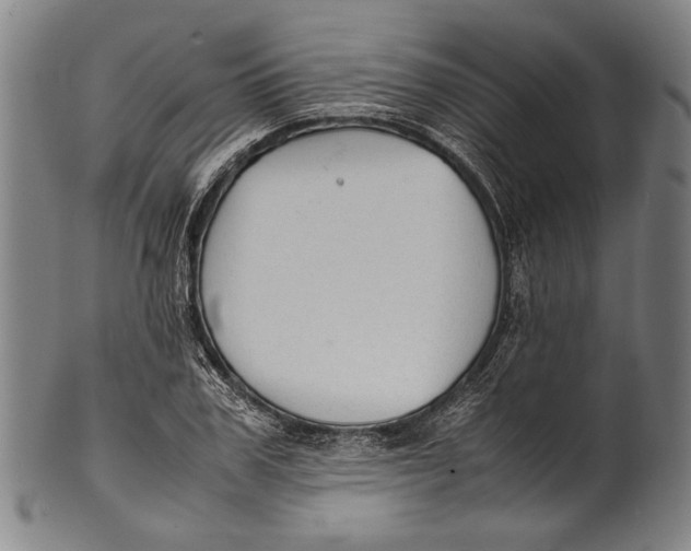 X0000100850979200807111212