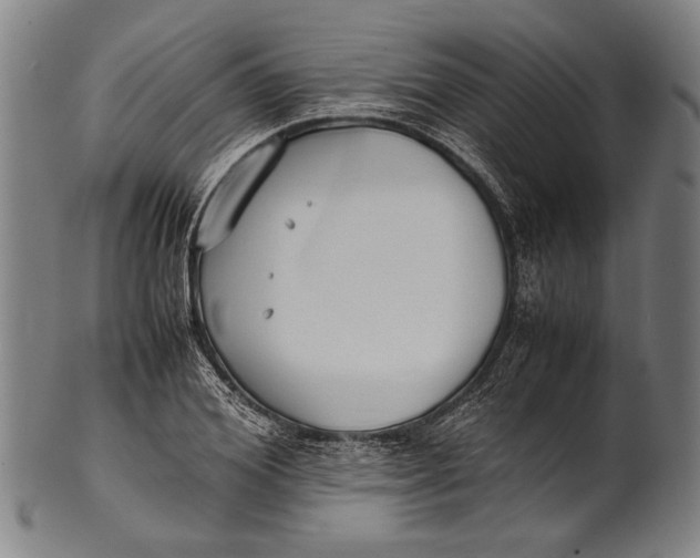 X0000100850980200807111212