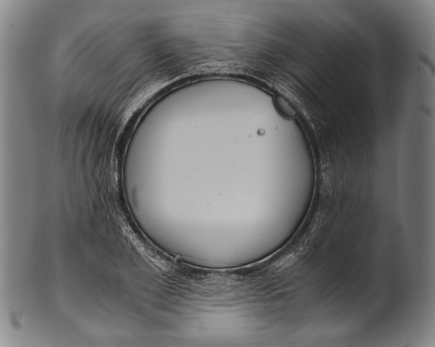 X0000100850981200807111212