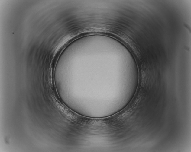 X0000100850982200807111212