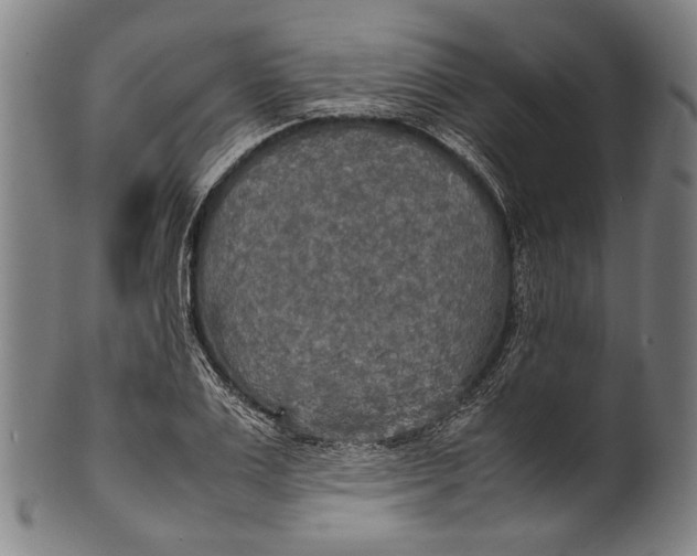 X0000100850983200807111212