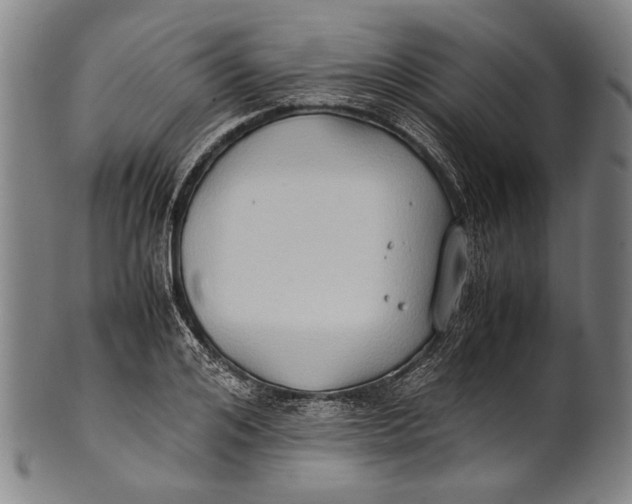 X0000100850984200807111212