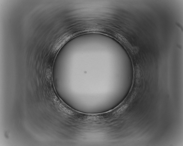 X0000100850985200807111212