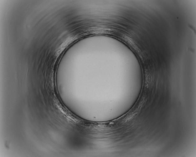 X0000100850986200807111212