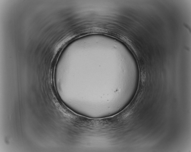 X0000100850987200807111211