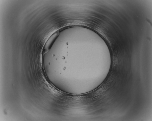 X0000100850988200807111211