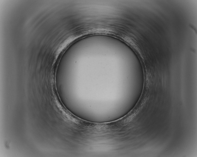 X0000100850989200807111211