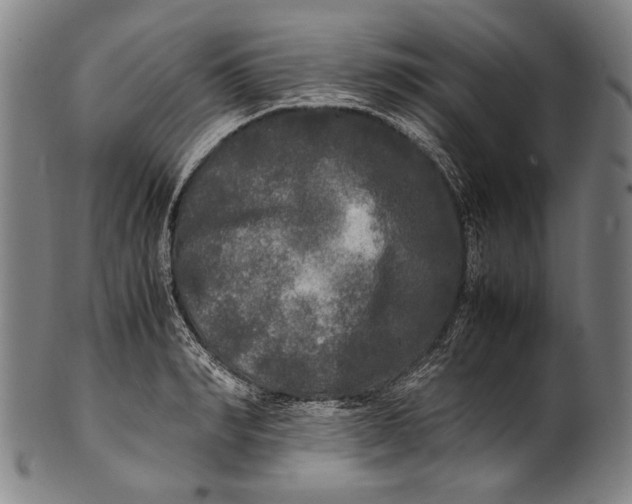 X0000100850990200807111211