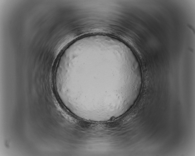 X0000100850991200807111211