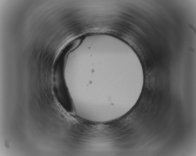 X0000100850992200807111211