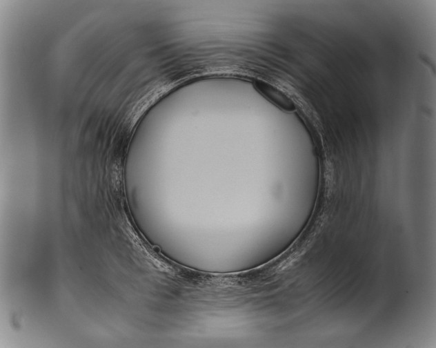 X0000100850993200807111211