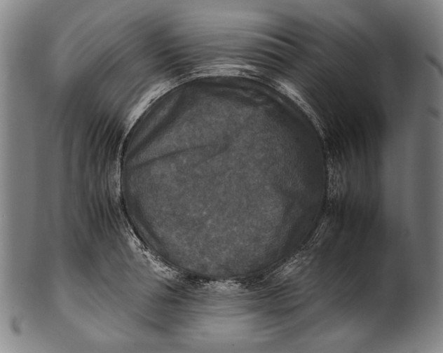 X0000100850994200807111211