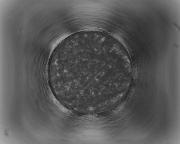 X0000100850995200807111211