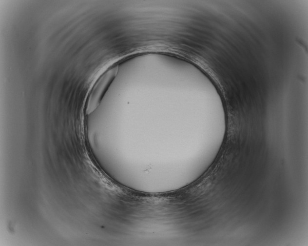 X0000100850996200807111211