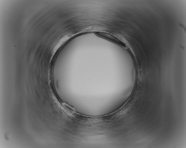 X0000100850997200807111211