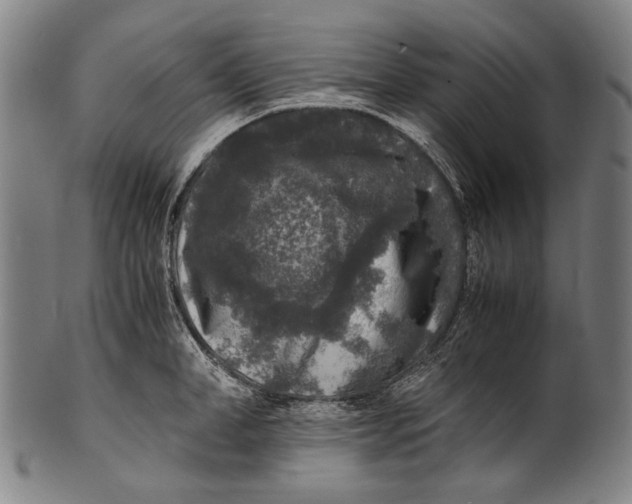 X0000100850998200807111211