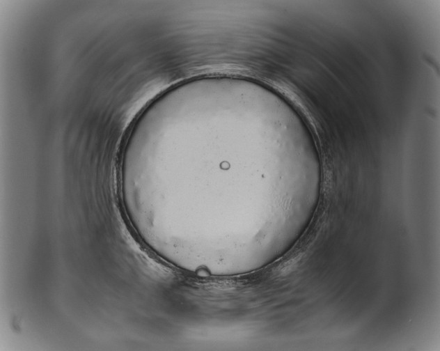 X0000100850999200807111211