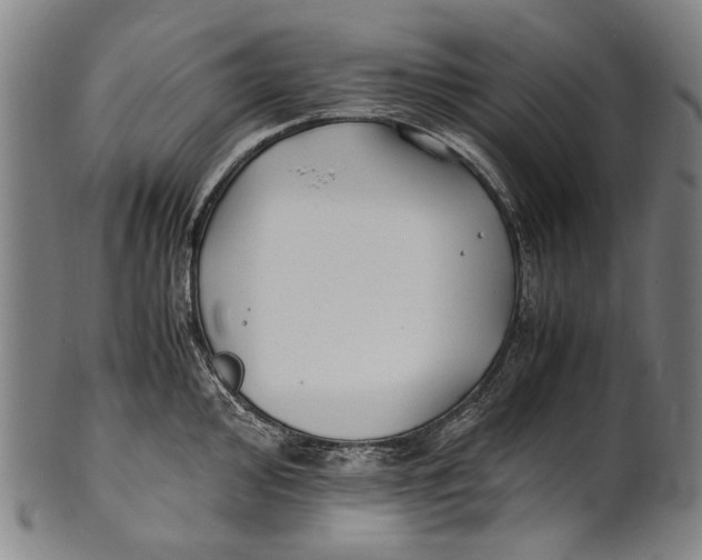 X0000100851000200807111211