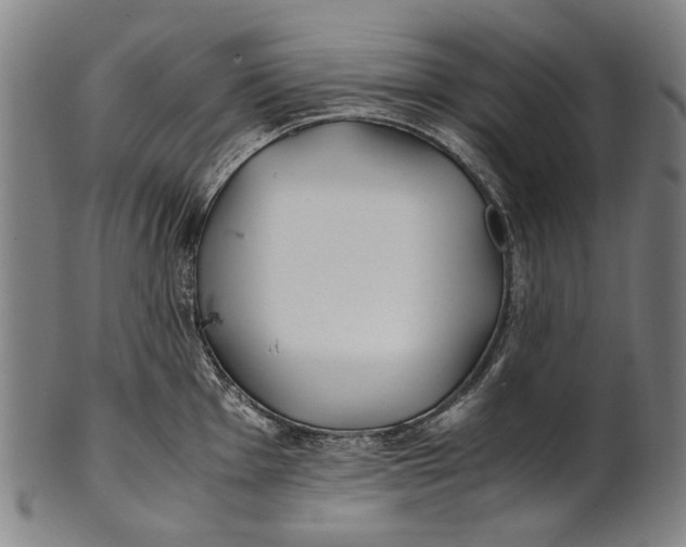 X0000100851001200807111211