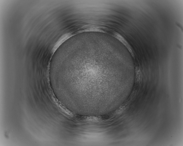 X0000100851002200807111211