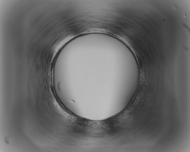 X0000100851003200807111211