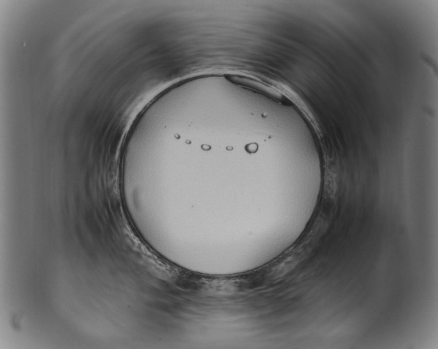 X0000100851004200807111211