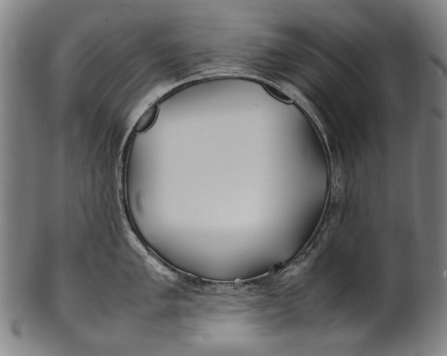 X0000100851005200807111211