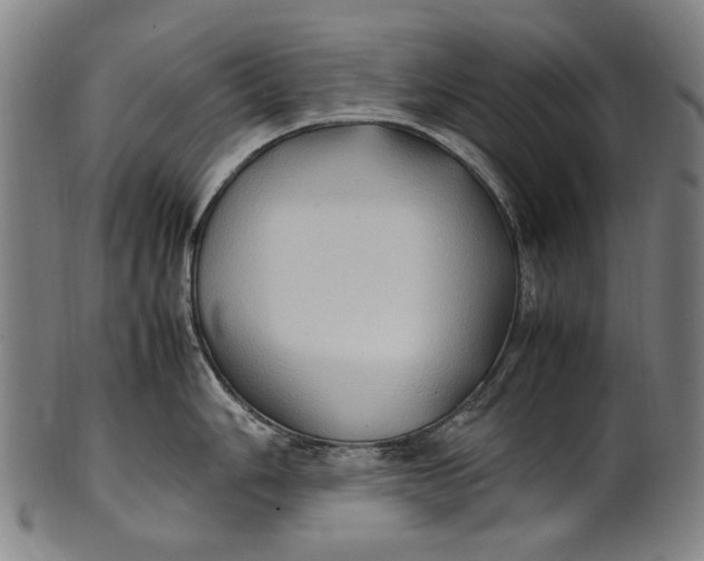 X0000100851006200807111211