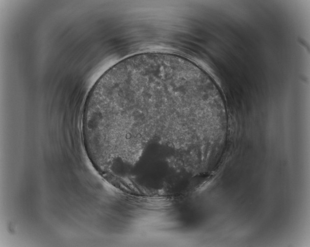 X0000100851007200807111211