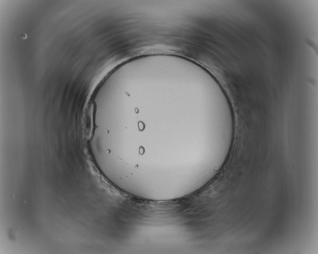 X0000100851008200807111211