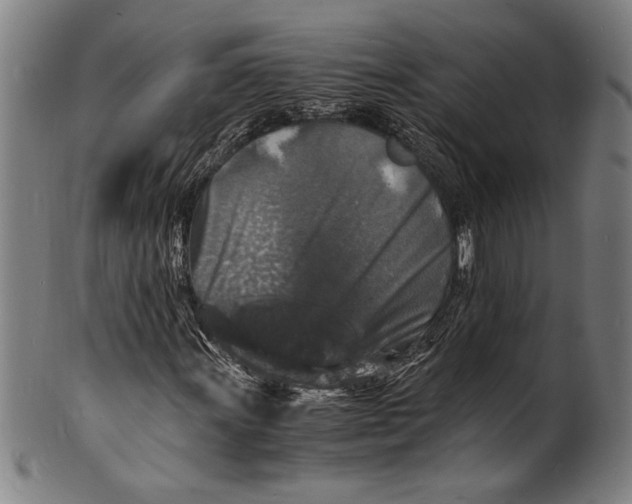 X0000100851011200807111211