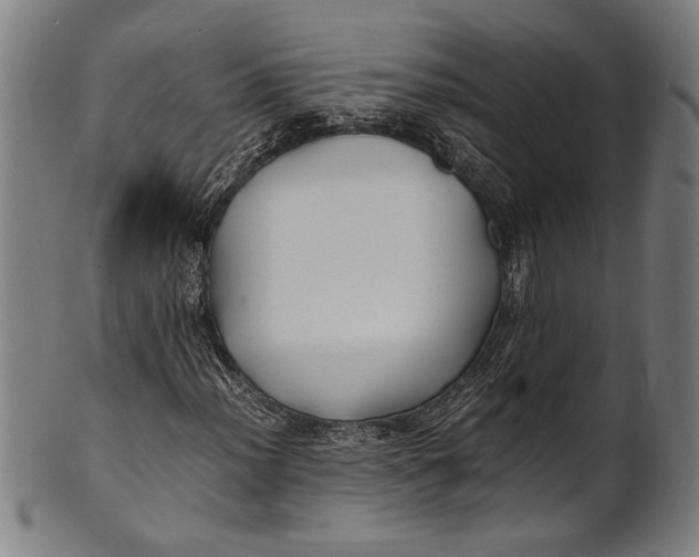 X0000100851012200807111211