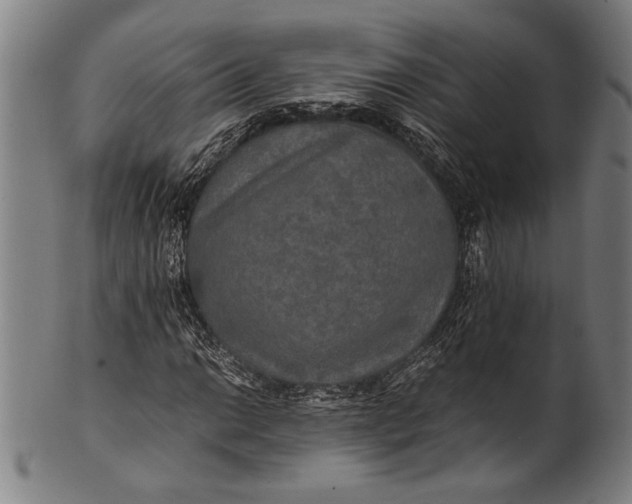 X0000100851014200807111211