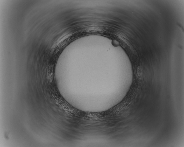 X0000100851015200807111211