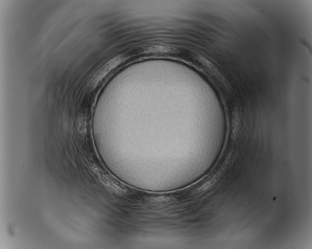 X0000100851017200807111211