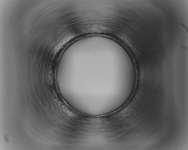 X0000100851018200807111211