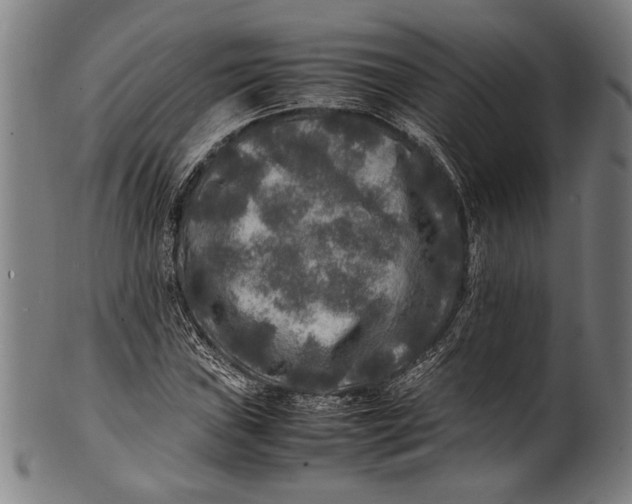 X0000100851019200807111211