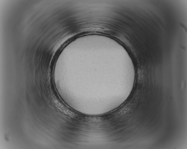 X0000100851020200807111211