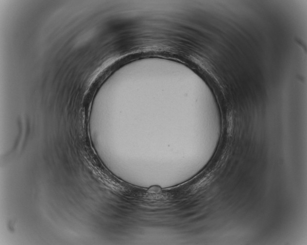 X0000100851021200807111211