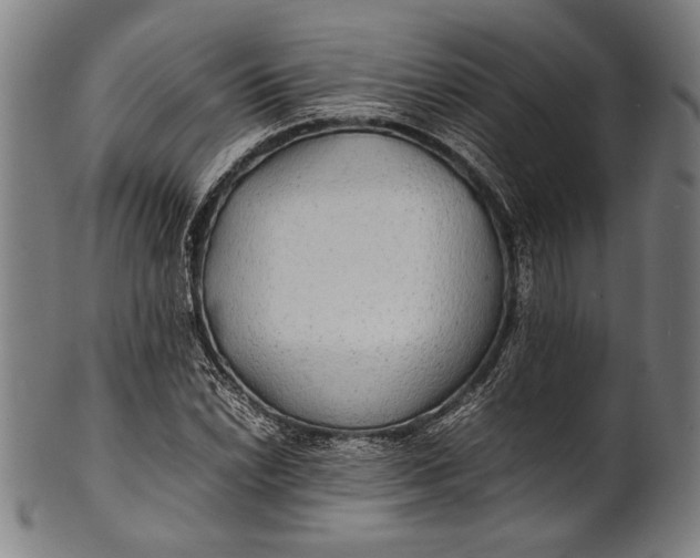 X0000100851022200807111211