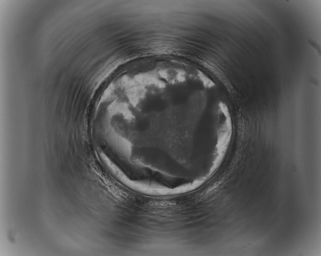 X0000100851023200807111211