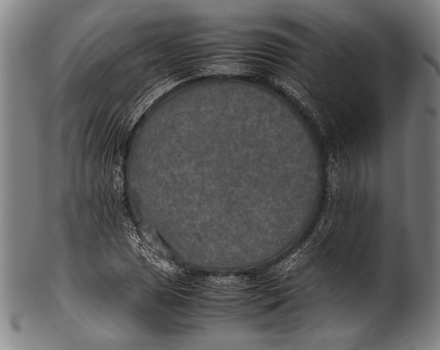 X0000100851025200807111211