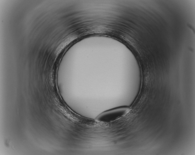 X0000100851026200807111211