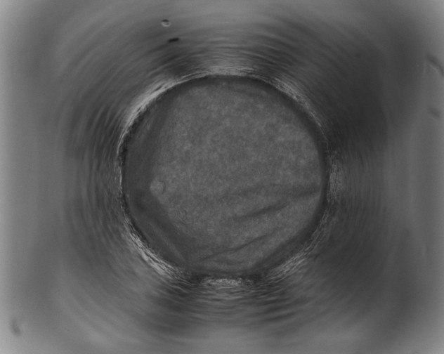 X0000100851027200807111211