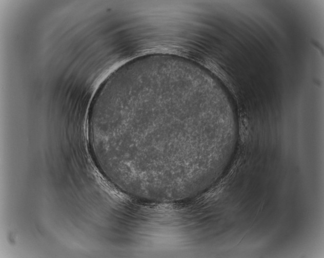 X0000100851028200807111211