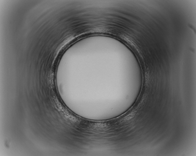 X0000100851029200807111211