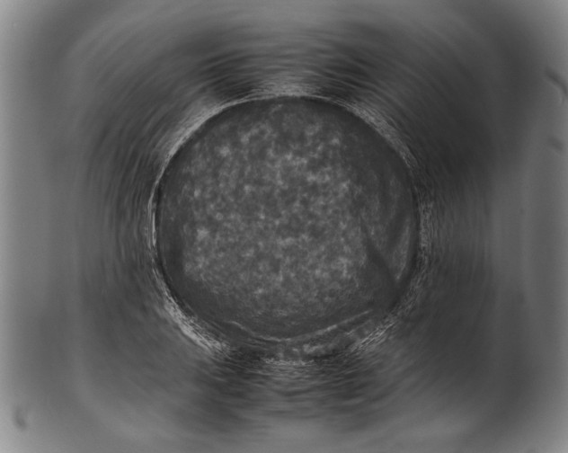 X0000100851031200807111211