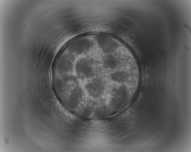 X0000100851032200807111211