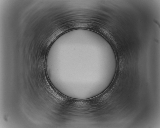 X0000100851033200807111211