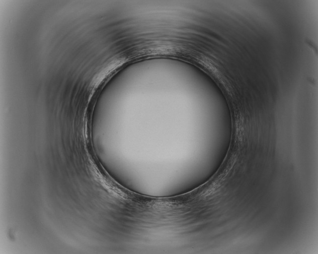 X0000100851034200807111211